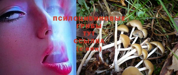 spice Остров