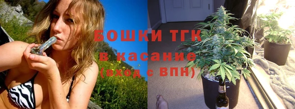 mix Пересвет
