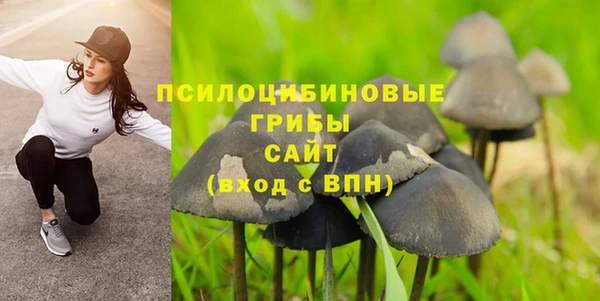 тгк Осинники