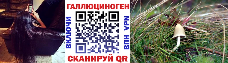 Купить закладки  Касли  Псилоцибиновые грибы Cubensis 